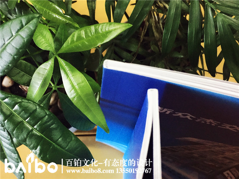 標(biāo)識(shí)加工制作產(chǎn)品宣傳畫冊設(shè)計(jì)-公司畫冊制作