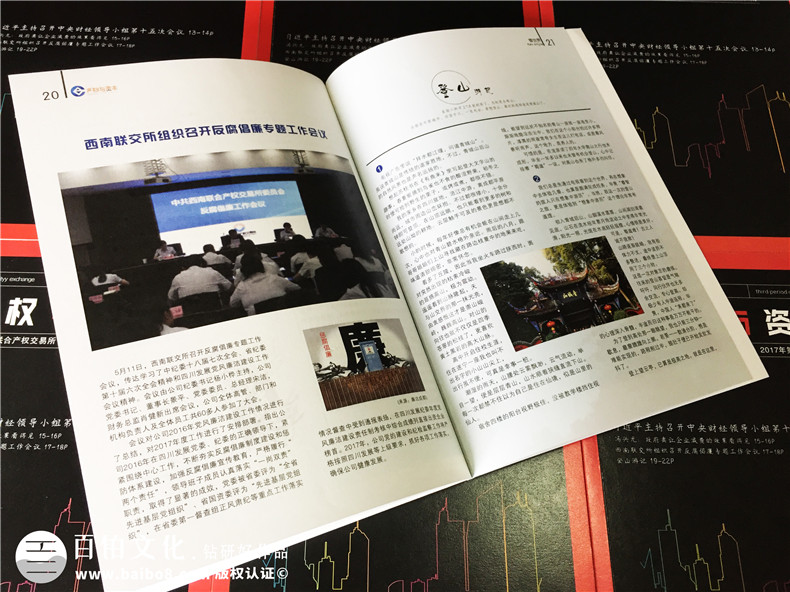 《產(chǎn)權(quán)與資本》企業(yè)內(nèi)刊設(shè)計(jì)-公司形象畫冊