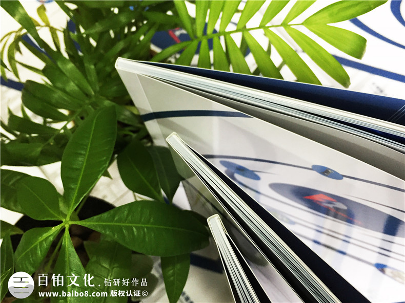 成都平面設(shè)計公司 如何選擇企業(yè)品牌推廣的設(shè)計公司？