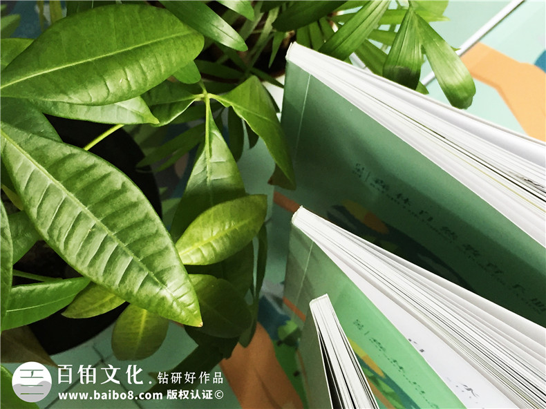 景區(qū)宣傳畫冊內(nèi)頁版式設計-旅游景點森林自然資源教育手冊怎么做?
