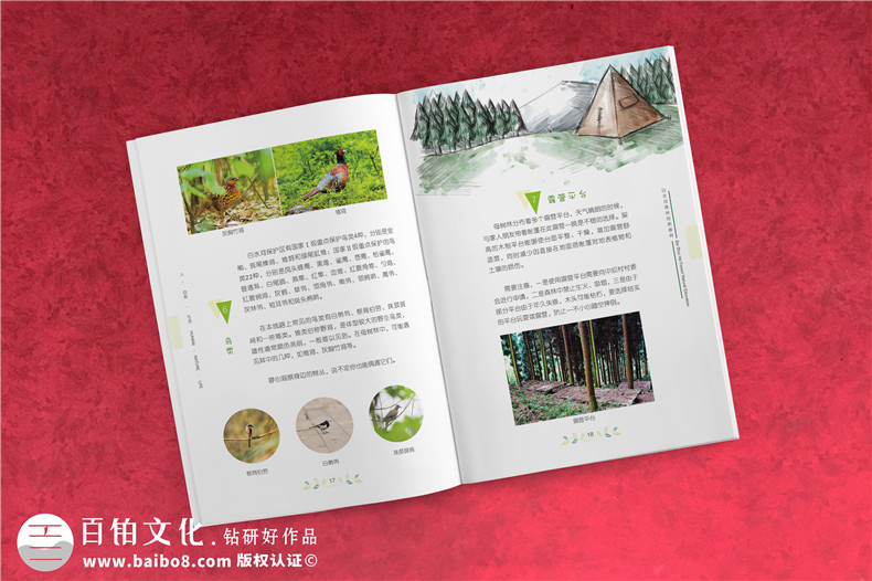 景區(qū)宣傳畫冊內(nèi)頁版式設計-旅游景點森林自然資源教育手冊怎么做?
