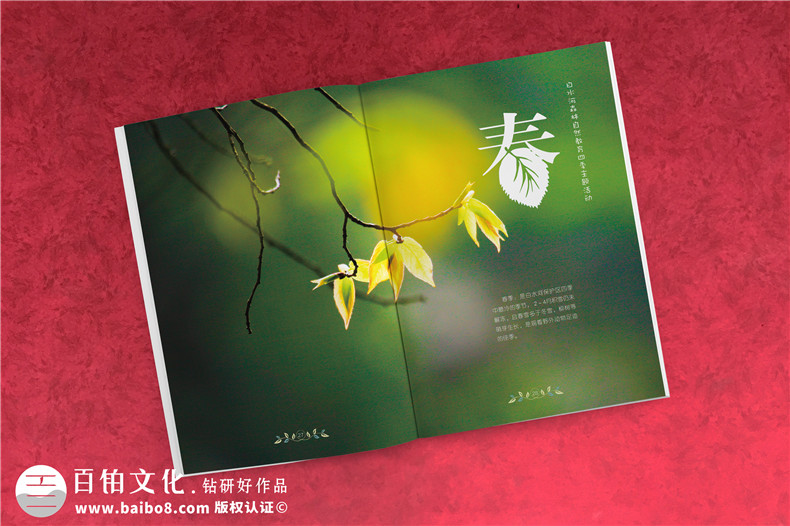 景區(qū)宣傳冊(cè)應(yīng)該怎么設(shè)計(jì)第2張-宣傳畫冊(cè),紀(jì)念冊(cè)設(shè)計(jì)制作-價(jià)格費(fèi)用,文案模板,印刷裝訂,尺寸大小