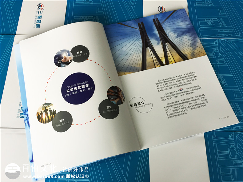 產(chǎn)品宣傳冊(cè)設(shè)計(jì)所需的圖文素材、制作材料第2張-宣傳畫(huà)冊(cè),紀(jì)念冊(cè)設(shè)計(jì)制作-價(jià)格費(fèi)用,文案模板,印刷裝訂,尺寸大小