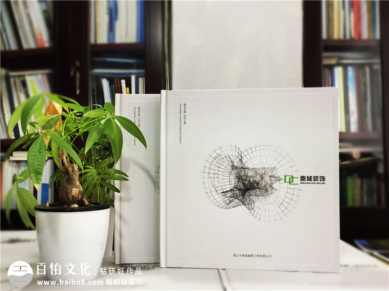 畫(huà)冊(cè)設(shè)計(jì)理念 專(zhuān)業(yè)的企業(yè)畫(huà)冊(cè)設(shè)計(jì)該怎么做？第1張-宣傳畫(huà)冊(cè),紀(jì)念冊(cè)設(shè)計(jì)制作-價(jià)格費(fèi)用,文案模板,印刷裝訂,尺寸大小