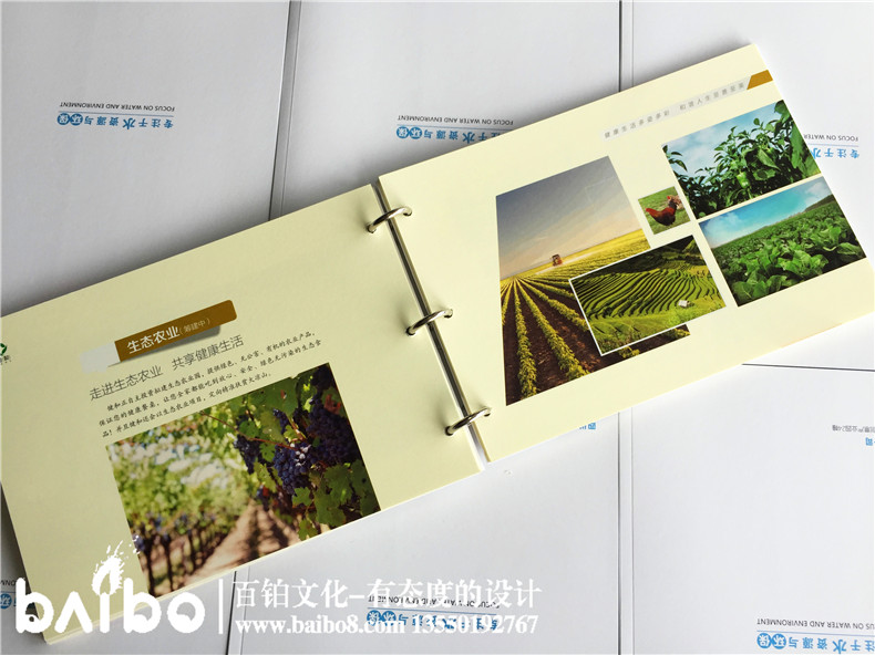 專業(yè)的畫冊設(shè)計公司制作企業(yè)畫冊的優(yōu)勢第2張-宣傳畫冊,紀(jì)念冊設(shè)計制作-價格費(fèi)用,文案模板,印刷裝訂,尺寸大小