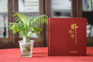 領(lǐng)導新晉升職的工作回憶紀念畫冊怎么設(shè)計