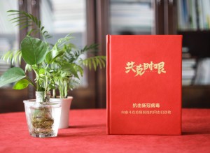 新冠病毒抗疫紀(jì)念相冊(cè)設(shè)計(jì)-送奮戰(zhàn)在疫情前線領(lǐng)導(dǎo)同事的留念畫(huà)冊(cè)