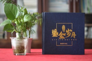 法院領(lǐng)導(dǎo)調(diào)離紀(jì)念冊(cè)設(shè)計(jì)-檢察院紀(jì)委書記在職期間工作業(yè)績回顧畫冊(cè)