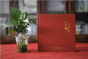 電力公司領(lǐng)導(dǎo)升職個人事件畫冊-電力領(lǐng)導(dǎo)調(diào)離編撰成績紀念相冊