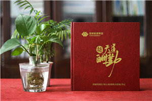 老領(lǐng)導(dǎo)工作的地方個(gè)人工作紀(jì)實(shí)畫(huà)冊(cè)設(shè)計(jì)-制作企業(yè)領(lǐng)導(dǎo)相冊(cè)集錦