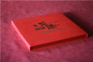 國(guó)家電網(wǎng)公司領(lǐng)導(dǎo)榮休紀(jì)念冊(cè)-高檔供電局領(lǐng)導(dǎo)退休相冊(cè)設(shè)計(jì)