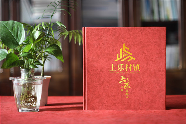 珍藏記憶，感恩同行——鎮(zhèn)領(lǐng)導(dǎo)調(diào)任紀念冊