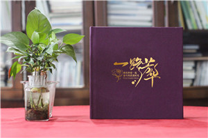 紫色系女領(lǐng)導(dǎo)退休紀念冊-送女領(lǐng)導(dǎo)的走心禮物