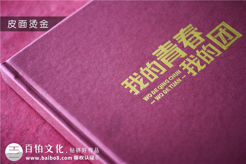 共青團委領(lǐng)導(dǎo)調(diào)走紀念相冊-黨委系統(tǒng)送別黨員影集照片書冊禮品定制