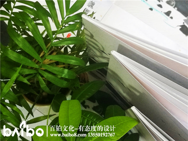 個(gè)人文章出書-個(gè)人作品集-詩畫攝影作品集出書