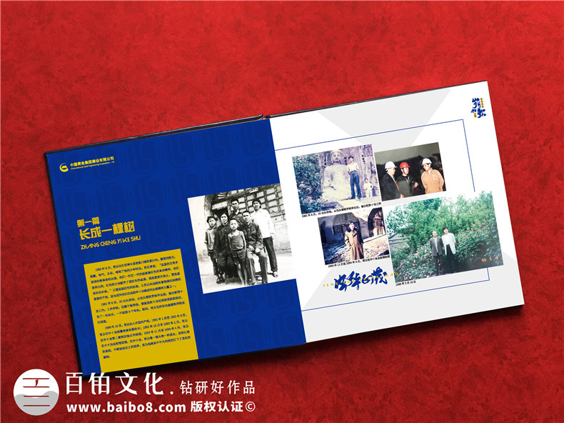 部門給領(lǐng)導(dǎo)做年度相冊怎么做-領(lǐng)導(dǎo)任期紀念冊