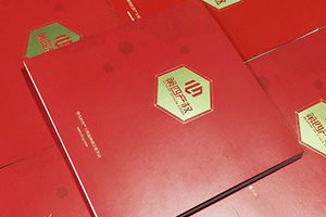 金融公司畫冊設計 金融行業(yè)宣傳冊設計要怎么做才好呢？
