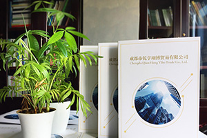 企業(yè)畫冊(cè)設(shè)計(jì)方法分享 專業(yè)的畫冊(cè)設(shè)計(jì)公司致力于提升企業(yè)品牌！