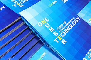 企業(yè)級畫冊設(shè)計 選擇專業(yè)的平面設(shè)計公司很重要！