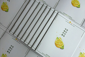 公司宣傳彩頁制作 怎么提升企業(yè)彩頁設計水平？