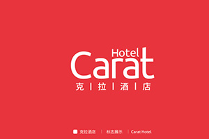 品牌設計公司的專業(yè)理念 企業(yè)品牌塑造與策劃的方法！