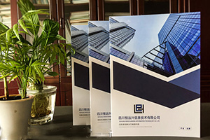 欣賞企業(yè)畫冊(cè)設(shè)計(jì)案例 分析專業(yè)的畫冊(cè)設(shè)計(jì)方法有哪些技巧？