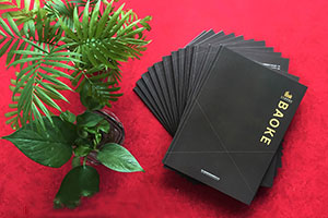 成都畫冊設(shè)計公司 具有專業(yè)的畫冊創(chuàng)意設(shè)計方向！