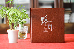 個(gè)人成長(zhǎng)紀(jì)念冊(cè)制作 設(shè)計(jì)專(zhuān)業(yè)的紀(jì)念冊(cè) 紀(jì)念成長(zhǎng)故事！