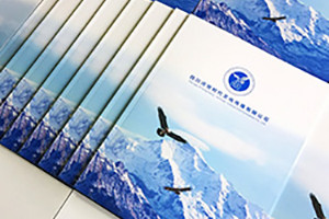 成都畫冊設計公司哪家好 百鉑畫冊制作公司品質可靠
