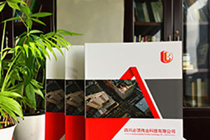 個(gè)性畫冊(cè)定制設(shè)計(jì)印刷 畫冊(cè)創(chuàng)意設(shè)計(jì)有方法！