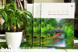 同學(xué)聚會紀念冊內(nèi)容設(shè)計 應(yīng)該放入哪些板塊,放入哪些紀念冊內(nèi)容？
