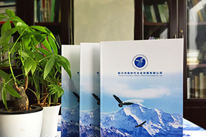企業(yè)畫冊策劃與設(shè)計 企業(yè)畫冊策劃公司必須重視畫冊設(shè)計的力量！