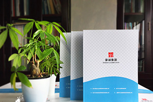 企業(yè)畫(huà)冊(cè)設(shè)計(jì)怎么做？畫(huà)冊(cè)制作的通用方法思考
