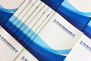 倉儲業(yè)、郵政業(yè)的企業(yè)畫冊設計特點 為制作優(yōu)秀的倉儲運輸企業(yè)畫冊