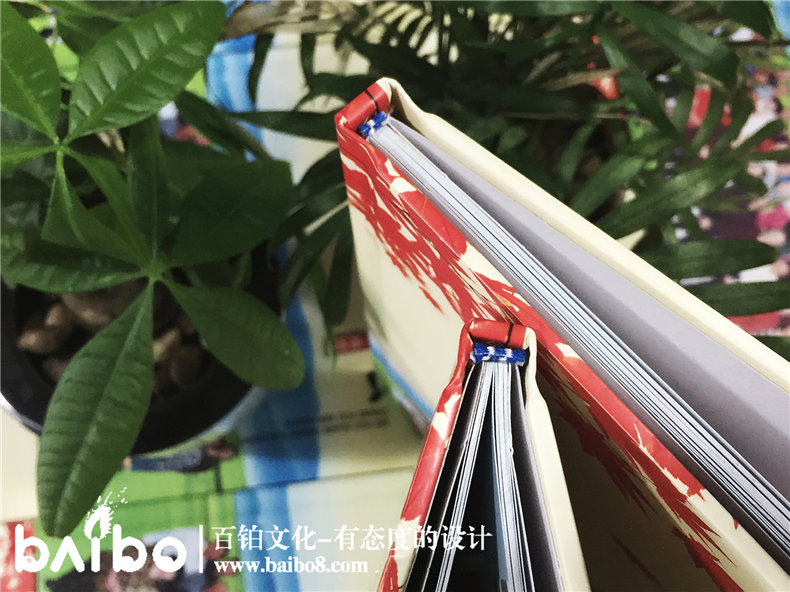 同學(xué)聚會(huì)紀(jì)念冊怎么設(shè)計(jì)才有意義