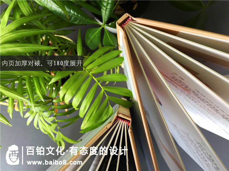 適合美容行業(yè)的畫冊設計